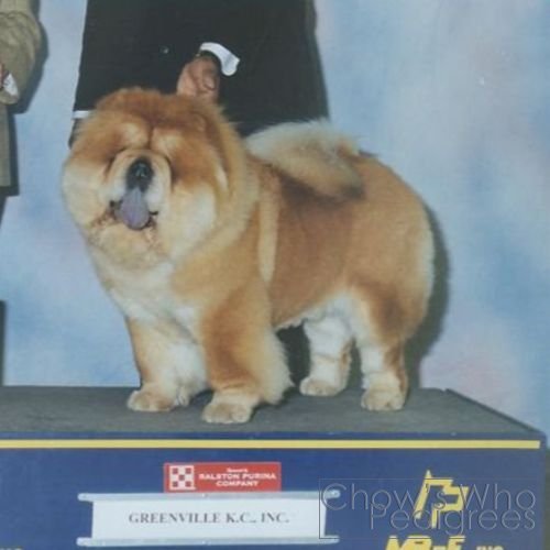 Chow's Who