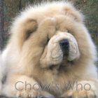 Chow's Who
