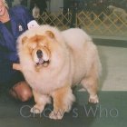 Chow's Who