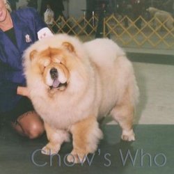 Chow's Who
