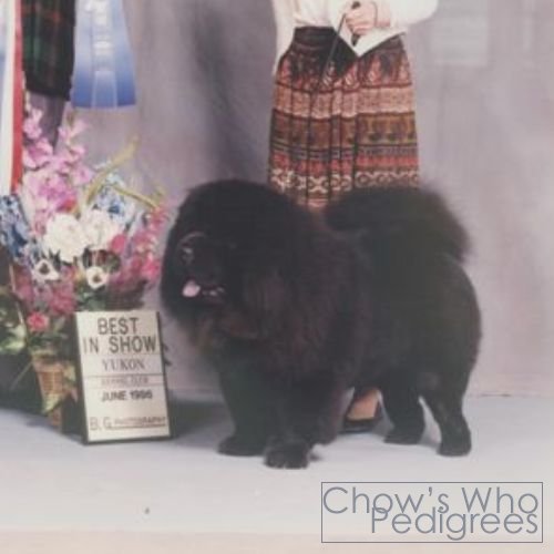 Chow's Who