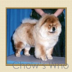 Chow's Who