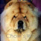 Chow's Who