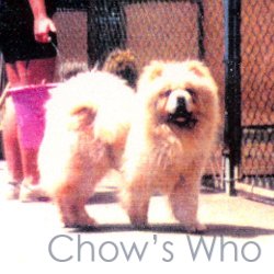 Chow's Who
