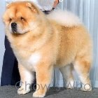 Chow's Who