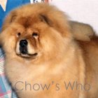 Chow's Who