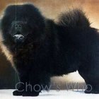 Chow's Who