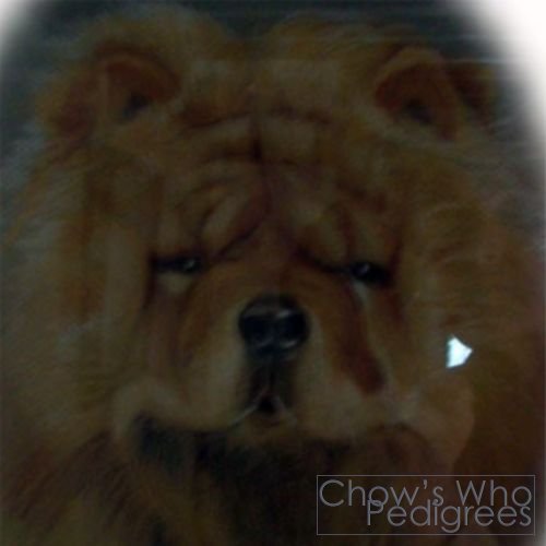 Chow's Who