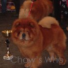 Chow's Who