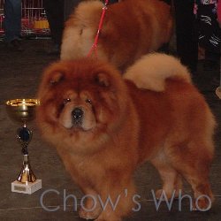 Chow's Who