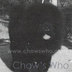 Chow's Who