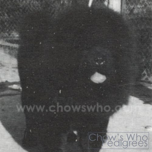 Chow's Who