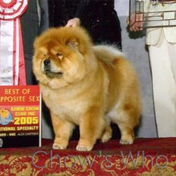 Chow's Who
