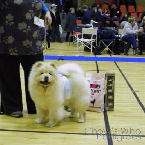 Chow's Who