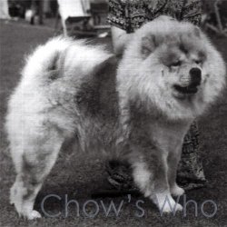 Chow's Who