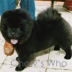 Chow's Who