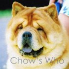 Chow's Who
