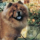 Chow's Who