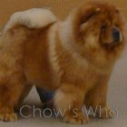 Chow's Who