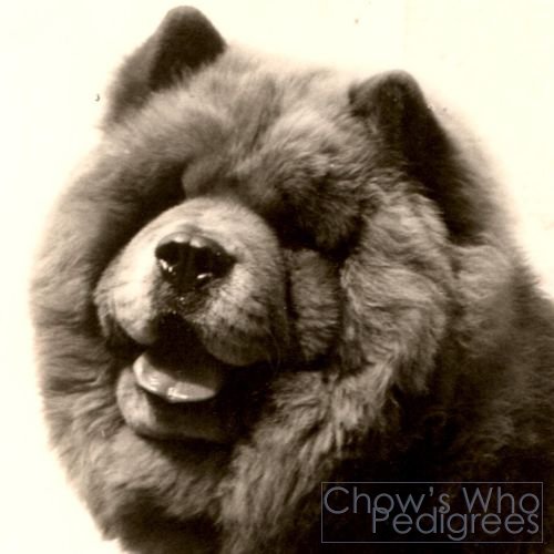 Chow's Who