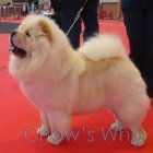 Chow's Who