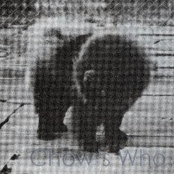 Chow's Who