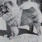 Chow's Who