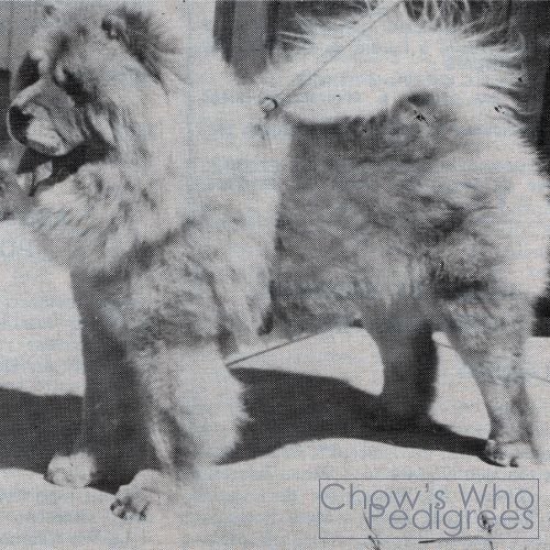 Chow's Who