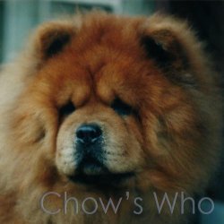 Chow's Who