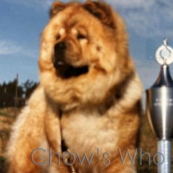 Chow's Who