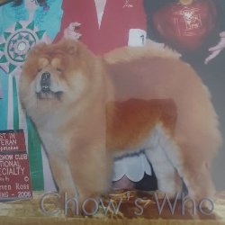 Chow's Who