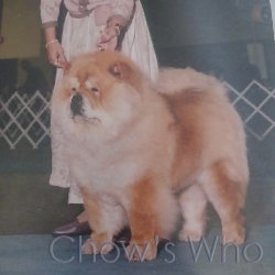 Chow's Who