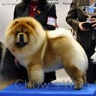 Chow's Who