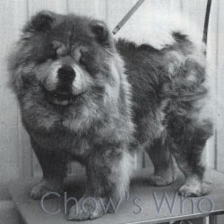 Chow's Who