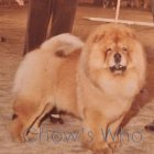 Chow's Who