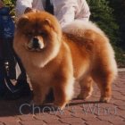 Chow's Who