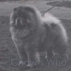Chow's Who