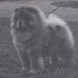 Chow's Who