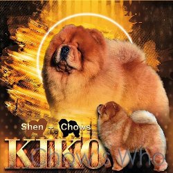 Chow's Who