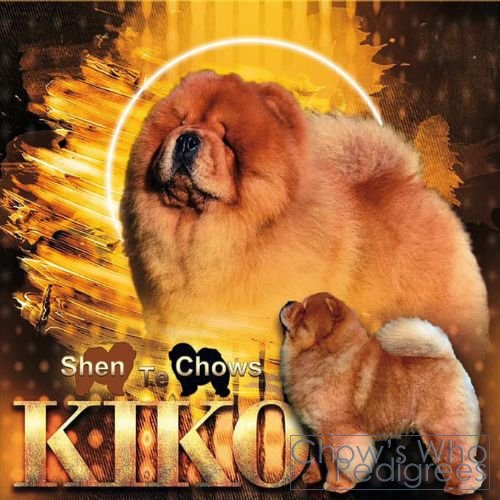 Chow's Who