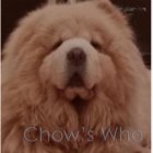Chow's Who