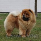Chow's Who