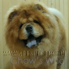 Chow's Who