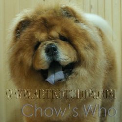 Chow's Who