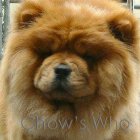 Chow's Who