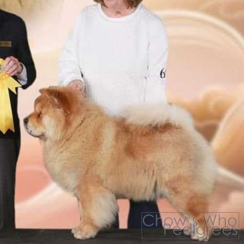 Chow's Who