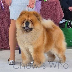 Chow's Who